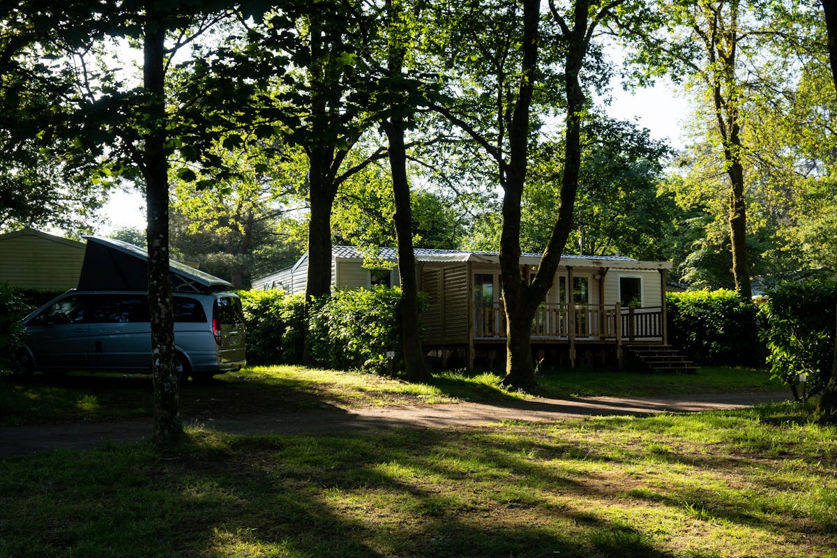 Static caravan nestled in peaceful woodland setting