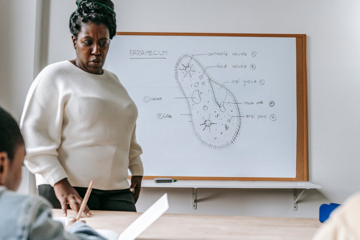 Students studying together at a desk